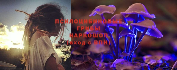 стаф Верея