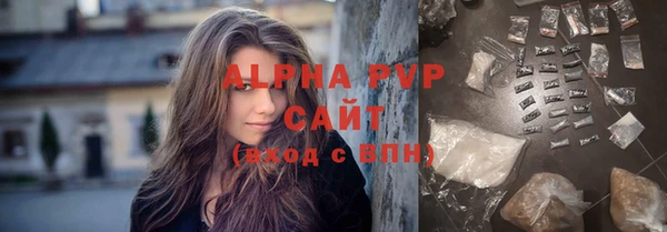 стаф Верея