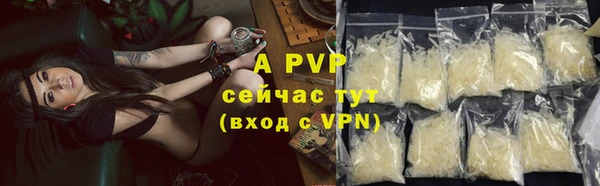 стаф Верея