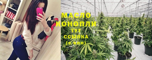 стаф Верея
