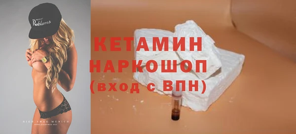 стаф Верея