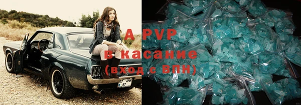 стаф Верея