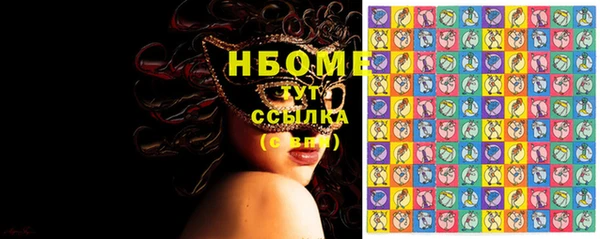 стаф Верея