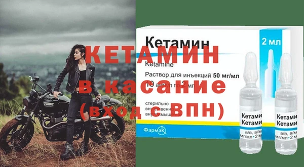 стаф Верея