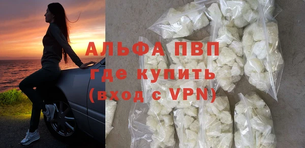 стаф Верея