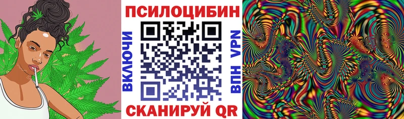 Псилоцибиновые грибы ЛСД  Кашин 
